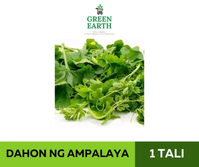 GREEN EARTH FRESH DAHON NG AMPALAYA - 1 TALI