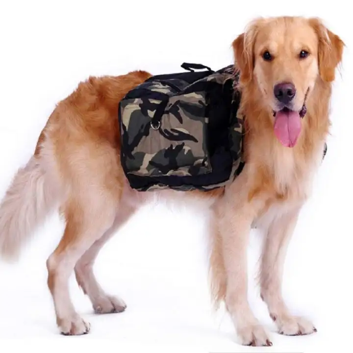 large dog travel carrier