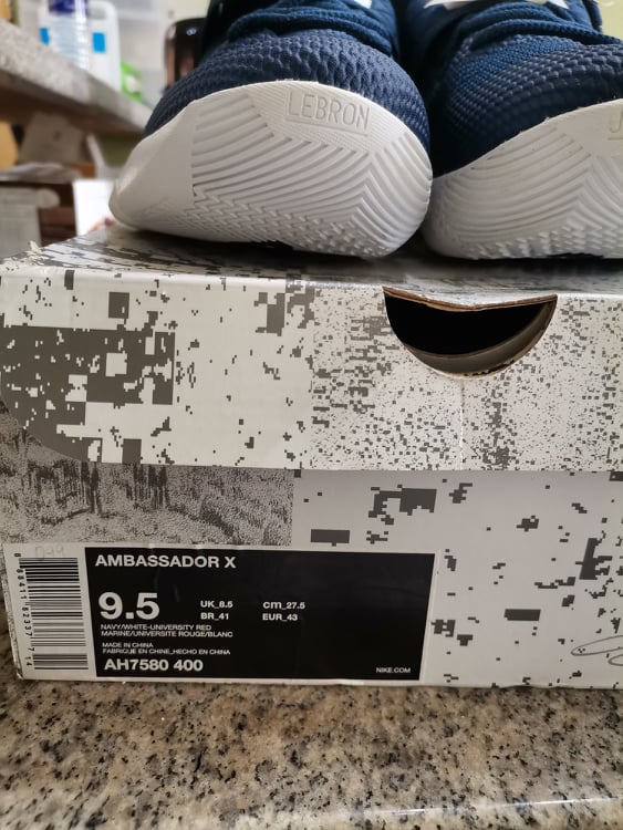 Ambassador x outlet lebron