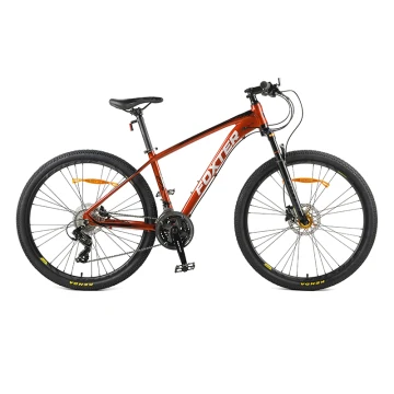 foxter bike mtb price