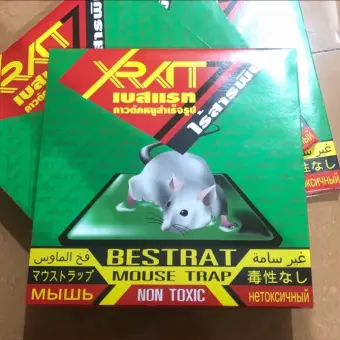 buy mouse trap online