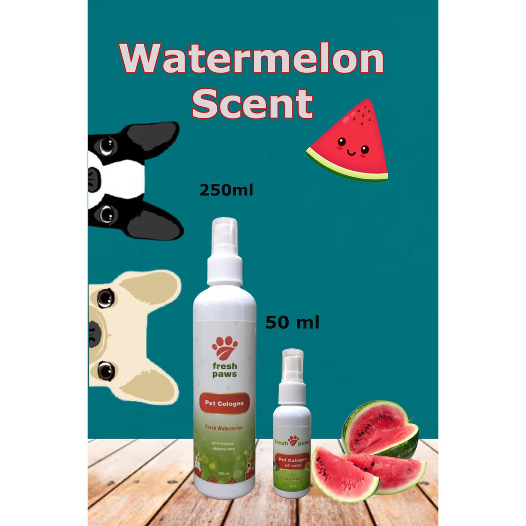 Anti Sneeze and Alcohol Free Dog Cologne/Perfume Lazada PH