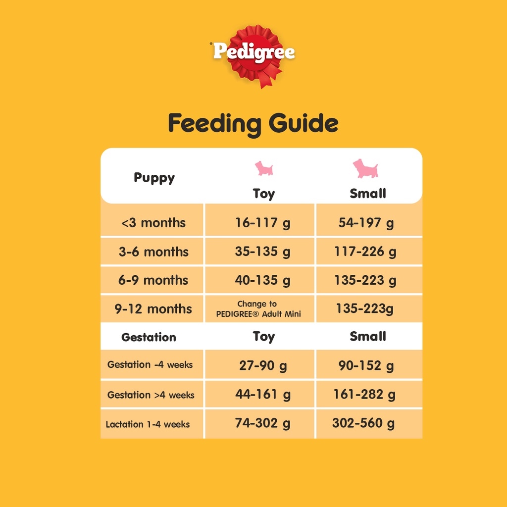 PEDIGREE Dog Food for Puppy NutriDefense Mini for Small Breed Dogs