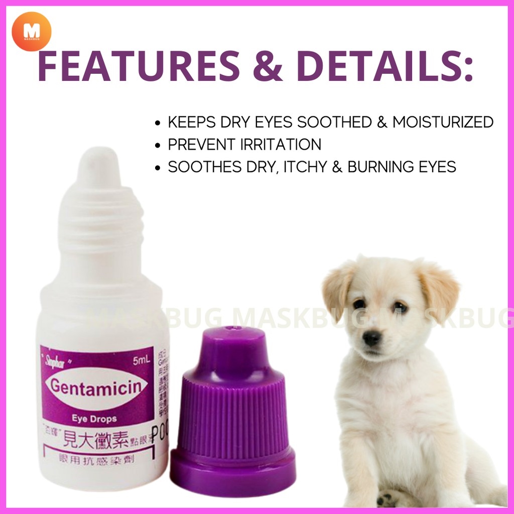 [MASKBUG 1] SINPHAR GENTAMICIN Eye Drops for Pet Prevent Irritation