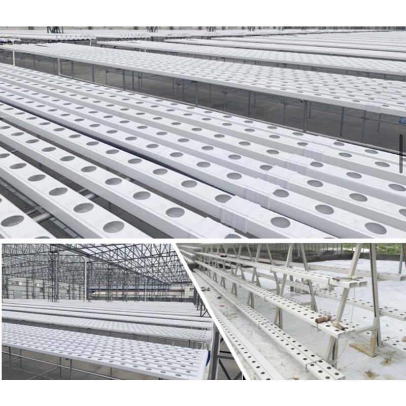 Downspout for hydroponics NFT (uPVC food grade) 4ft (8holes) Lazada PH