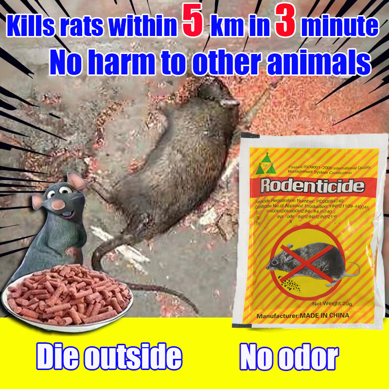 Kill all rats in 3 minutes Rat-X rat poison rat killer rodenticide ...