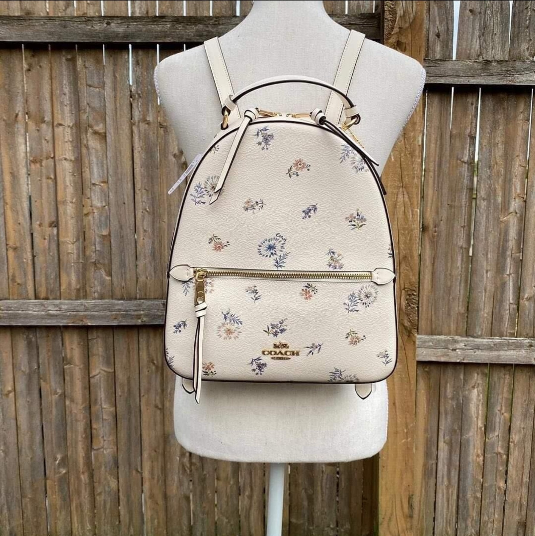 Coach 4106 Jordyn Backpack in Chalk Printed Coated Canvas and Chalk Smooth  Leather with Dandelion Floral Print - Women's Backpack | Lazada PH