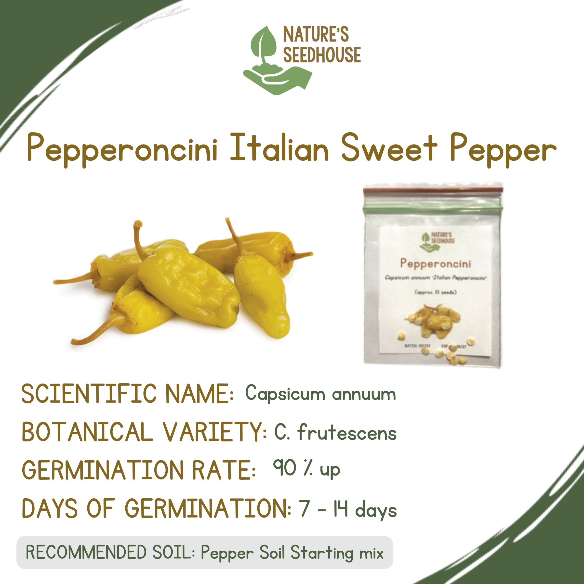 Pepperoncini Italian Sweet Pepper Pepper Seeds Lazada Ph