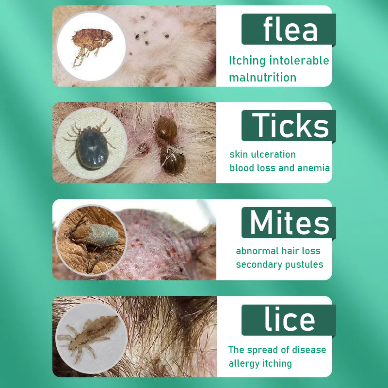 Top 161 + Lice and ticks in hair - polarrunningexpeditions