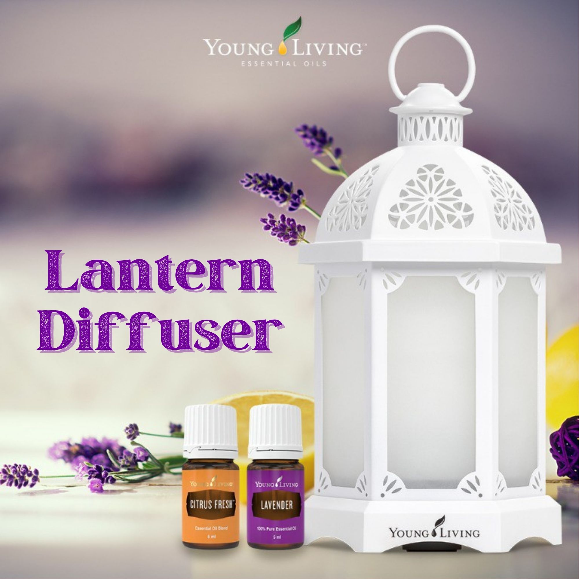 Young outlet Living Lantern Diffuser