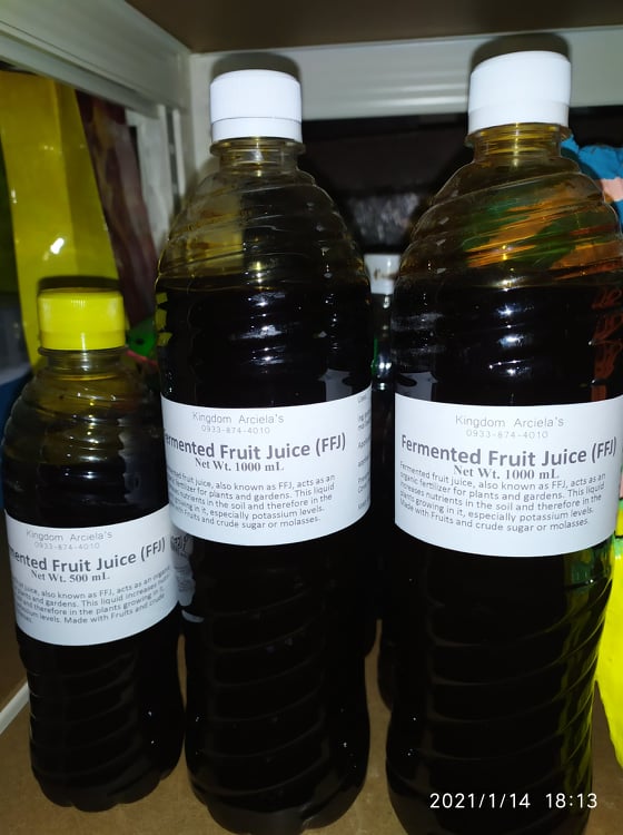 Fermented Fruit Juice (FFJ) 500 mL as Pure Organic Fertilizer/Foliar