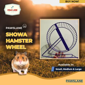 hamster wheel price