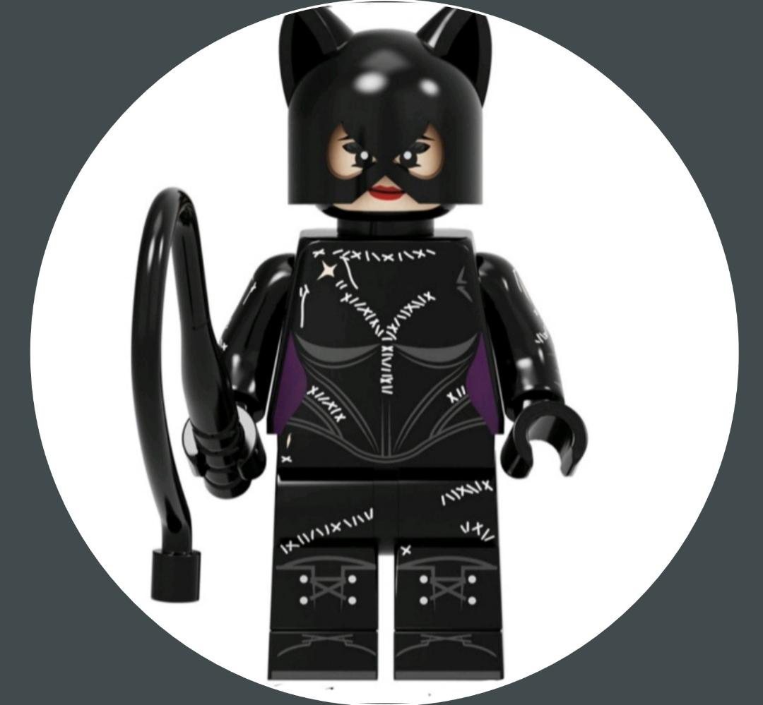 Justice League Catwoman Alternative Minifigure Lazada PH
