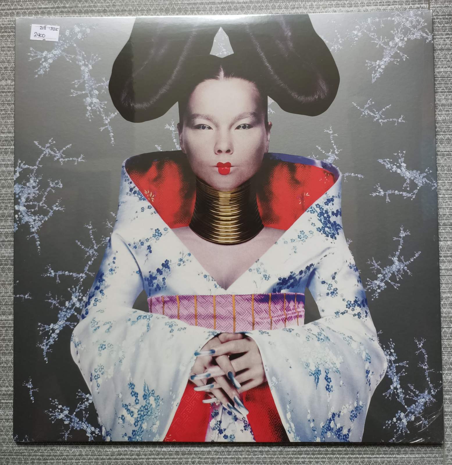 bjork homogenic