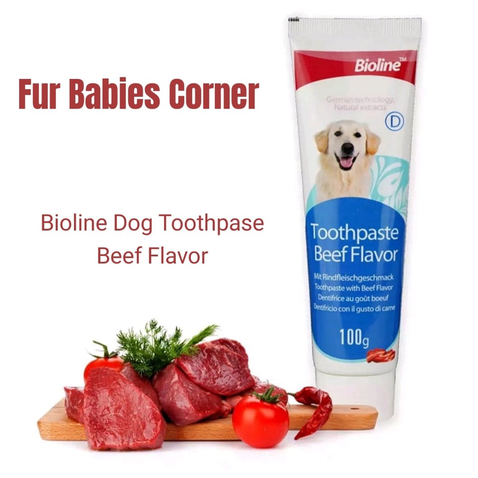 Dog toothpaste clearance beef flavor