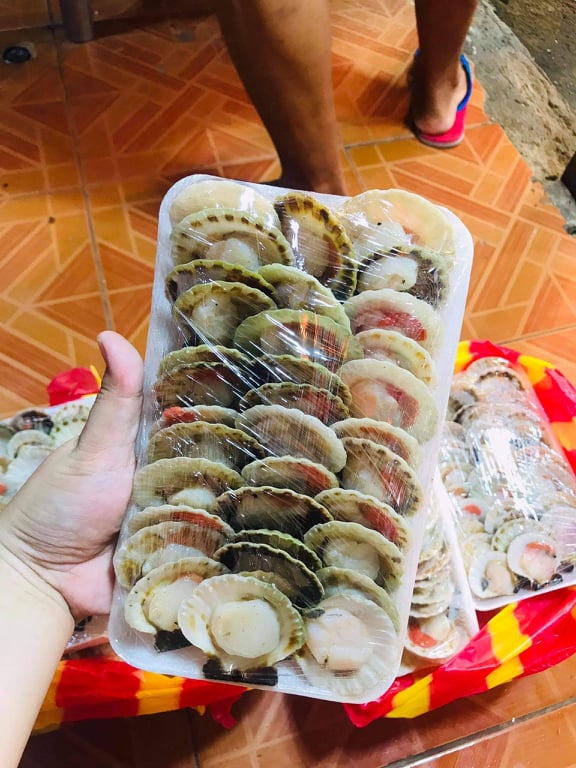 Half shell scallops Lazada PH