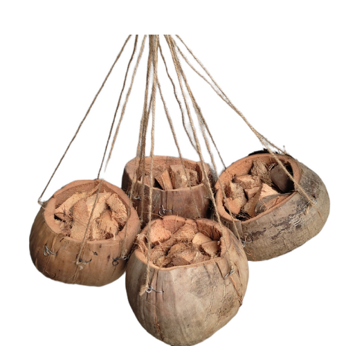 Coconut Husk for plants/ Coconut hanging pot using abaca string price