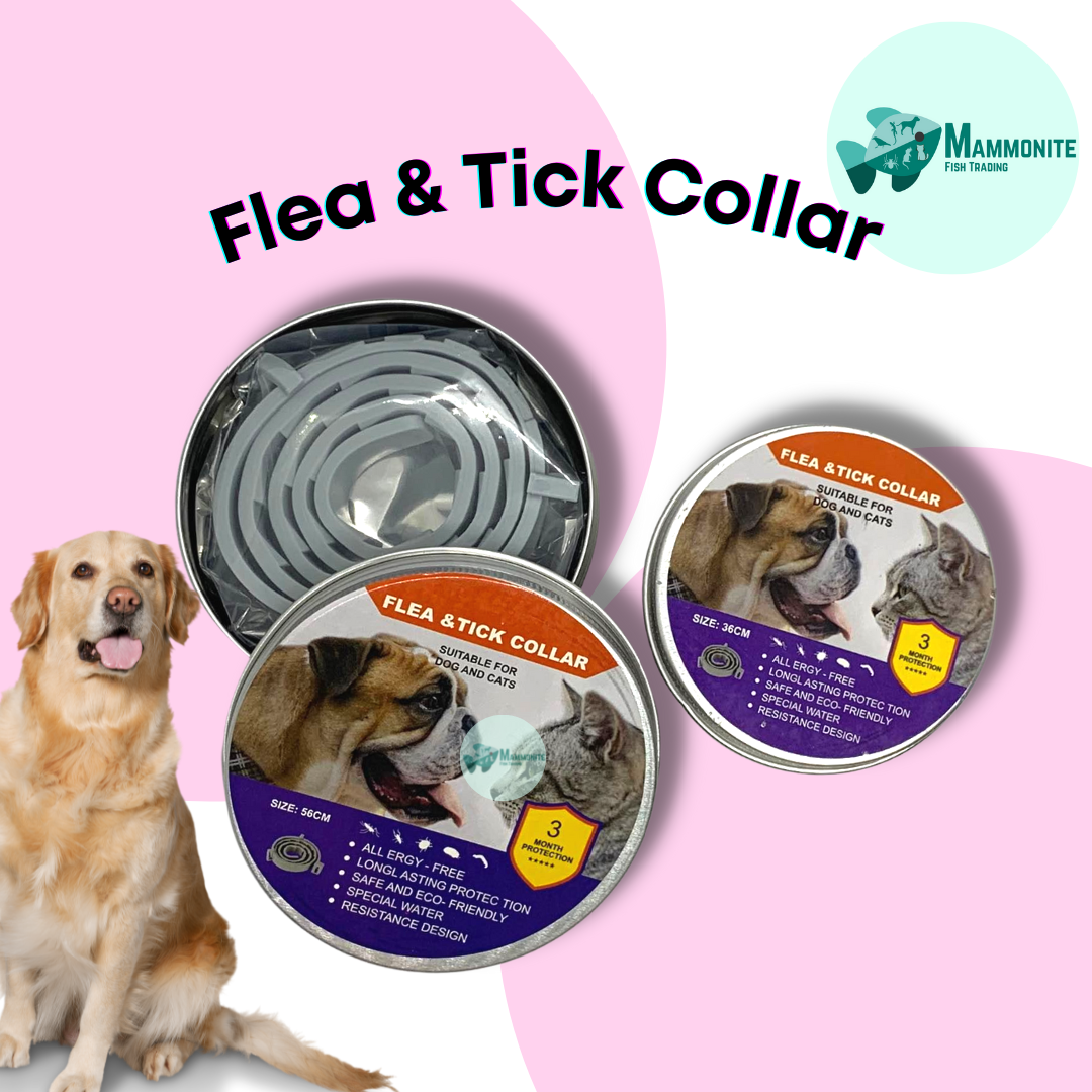 Are Dog Tick Collars Safe