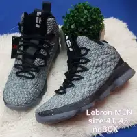 lazada shoes lebron