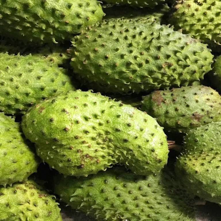 Guyabano Fruit Seeds 5 Seeds Lazada Ph