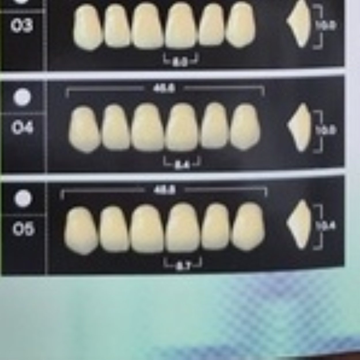 Yamahachi Acrylic Resin Teeth New Ace (Anterior and Posterior) Lazada PH