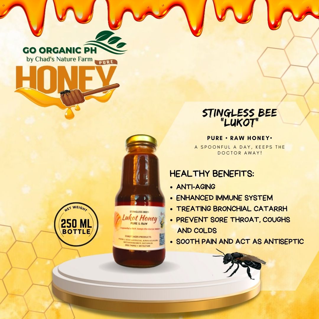 Pure & Raw Stingless Bee/Lukot Honey | Lazada PH
