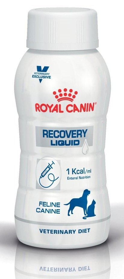 royal canin recovery liquid cat