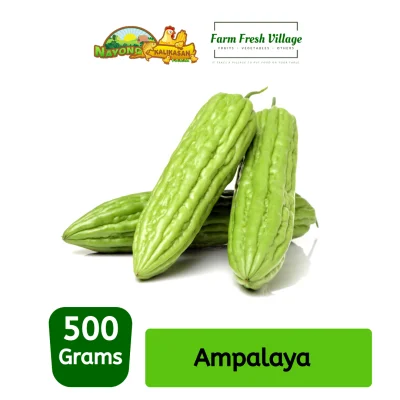 FARM FRESH VILLAGE - Ampalaya 500 grams