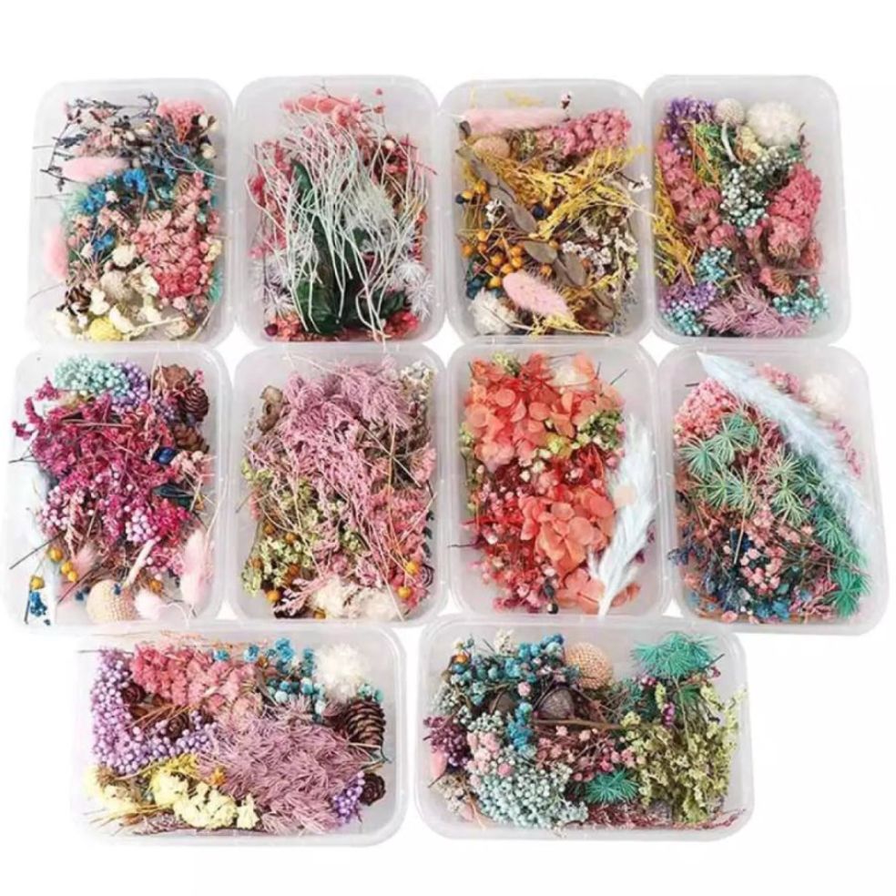 dried flower in a tub | Lazada PH