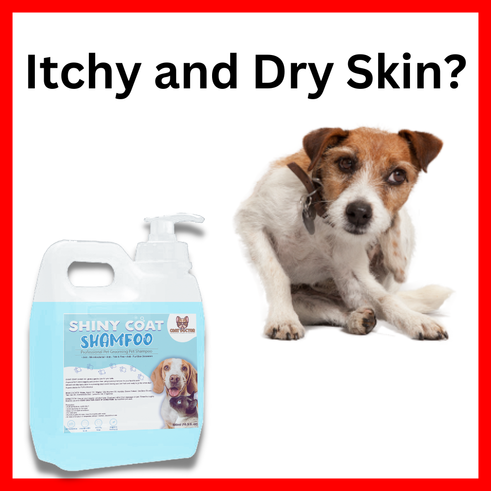 [ COAT DOCTOR ] Shiny Coat Shampoo for Pets / dog shampoo for itchy