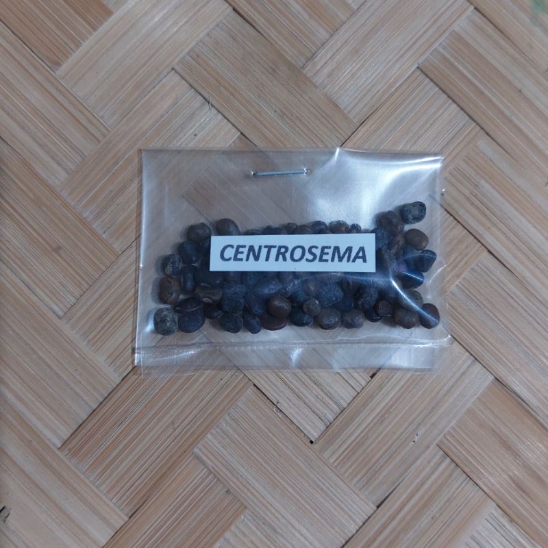 Livestocks Forage Grass Seeds/ Maramais, Rensonii, Kudzu, Alfalfa