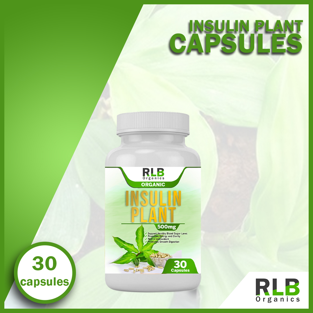 Pure Organic Natural Insulin Plant Capsules (30 Capsules) - Insulin  Capsules For Blood Sugar Support - Can treat the symptoms of Obesity,  Polycystic ovarian syndrome (PCOS), Liver damage, Cancer - Insulin Capsules  -