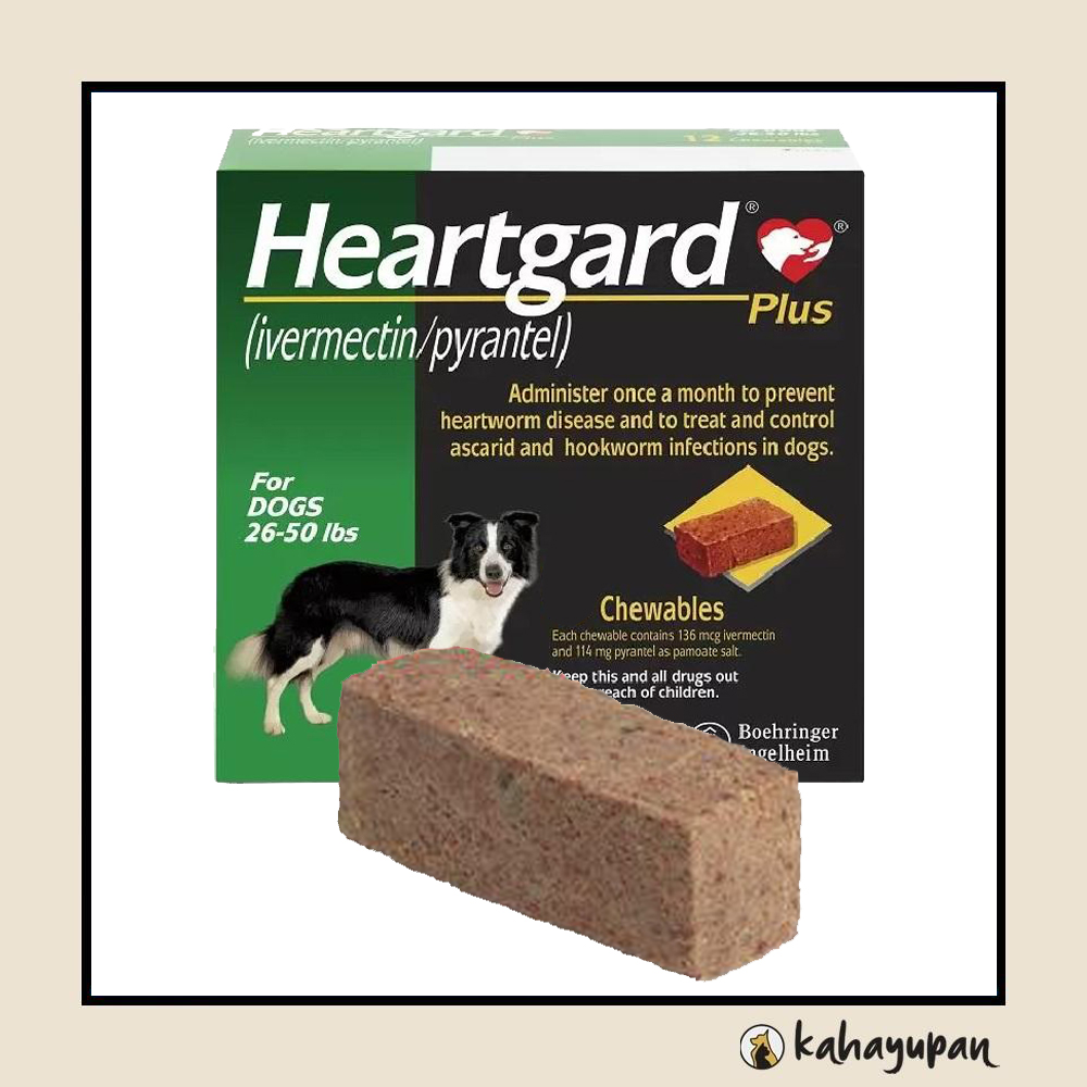 Heartgard medium hot sale