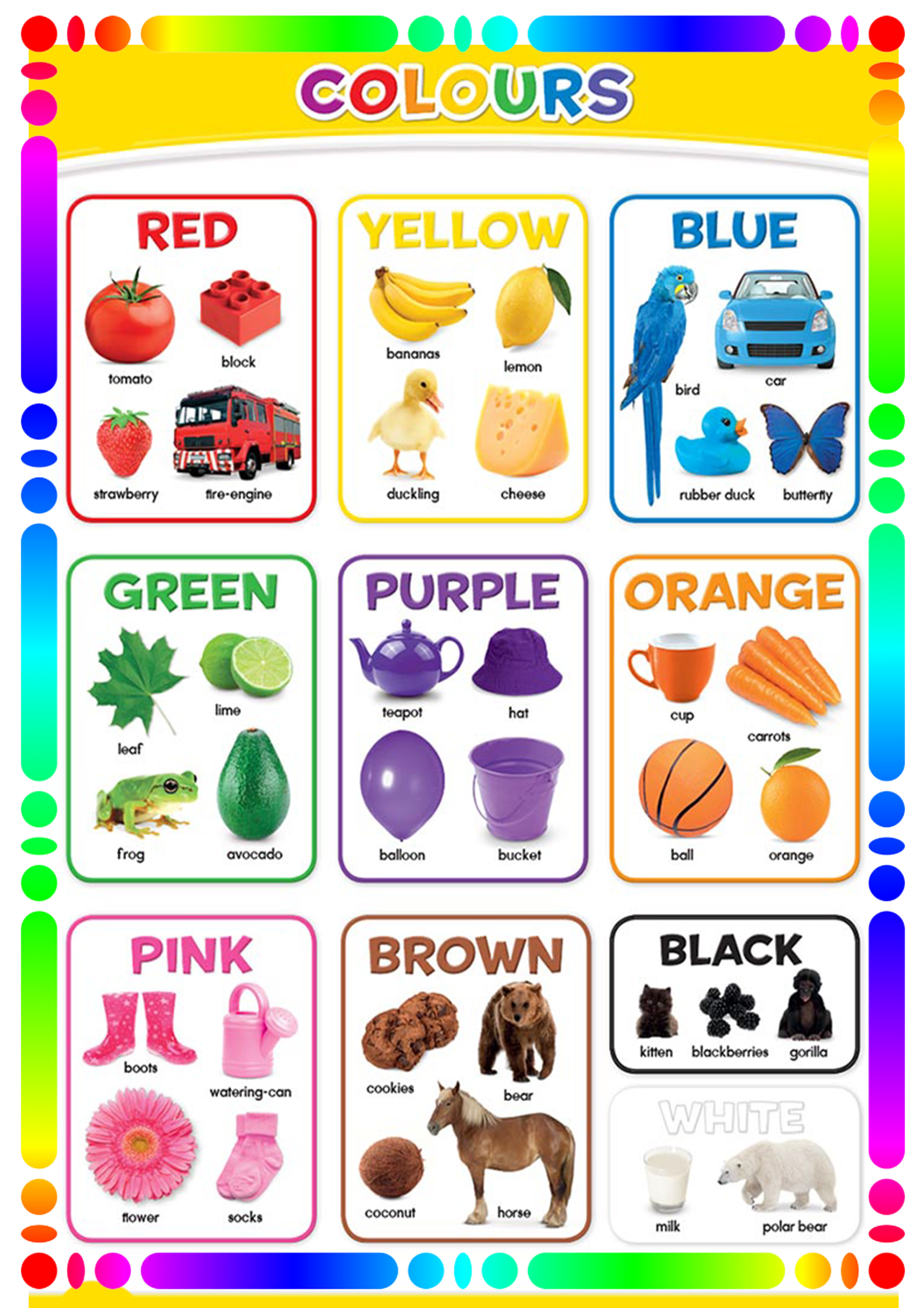 LAMINATED EDUCATIONAL CHARTS MAKAPAL/THICK for KIDS A4 8X12 inches BODY ...