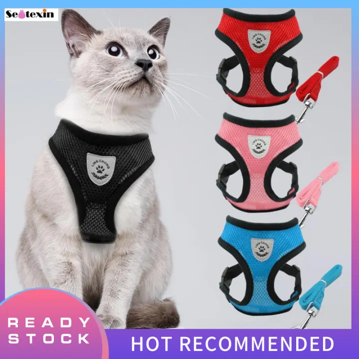 cat harness lazada