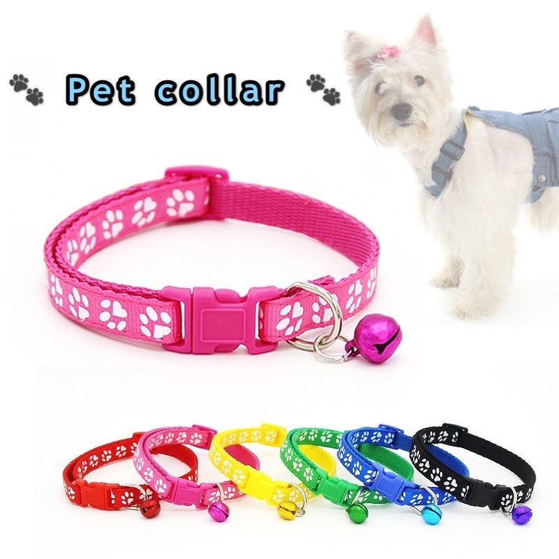dog collar shop near me