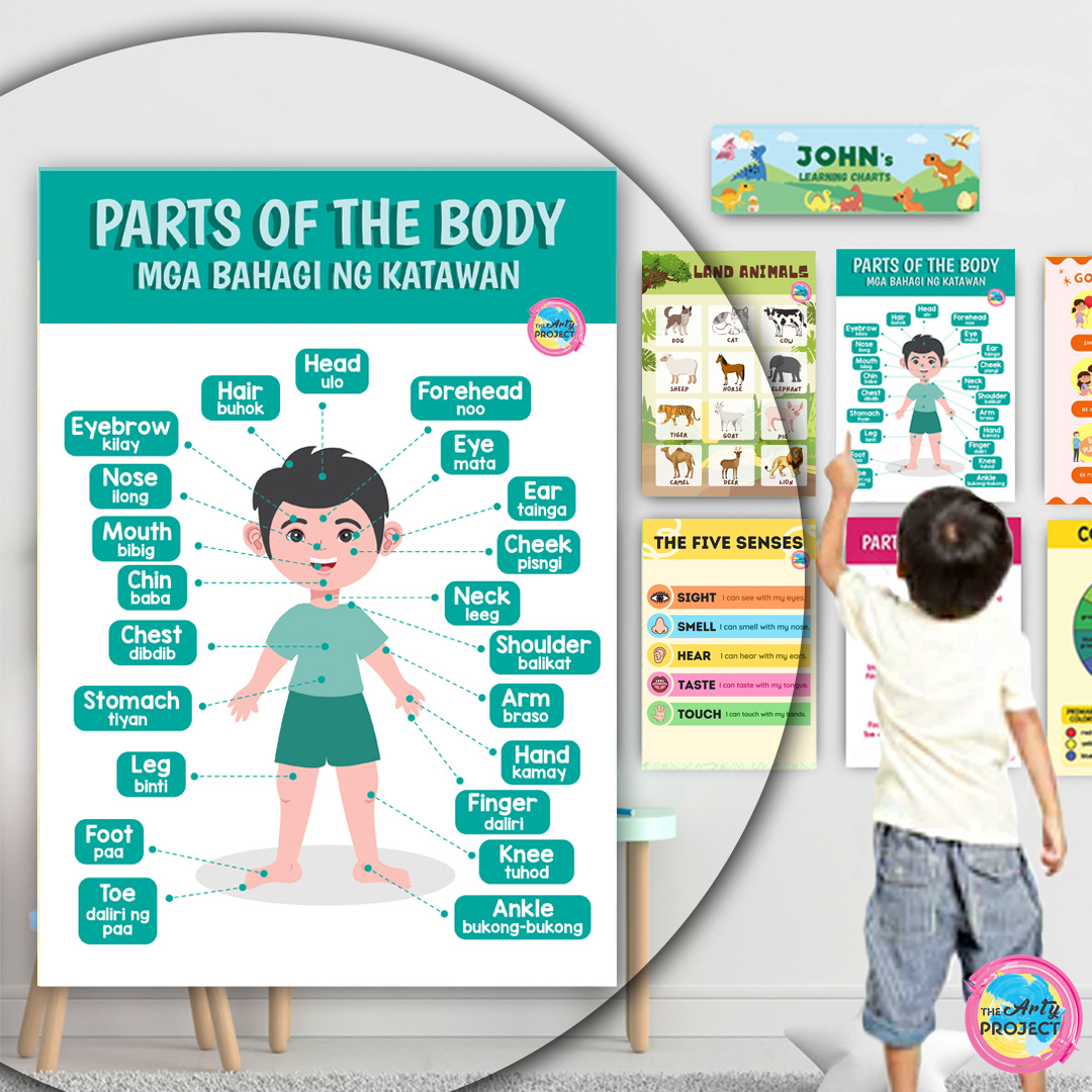 PARTS OF THE BODY BOY LAMINATED WALL CHART A4 BODY PARTS TAGALOG