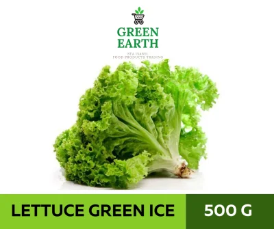 GREEN EARTH - FRESH LETTUCE GREEN ICE - 500g