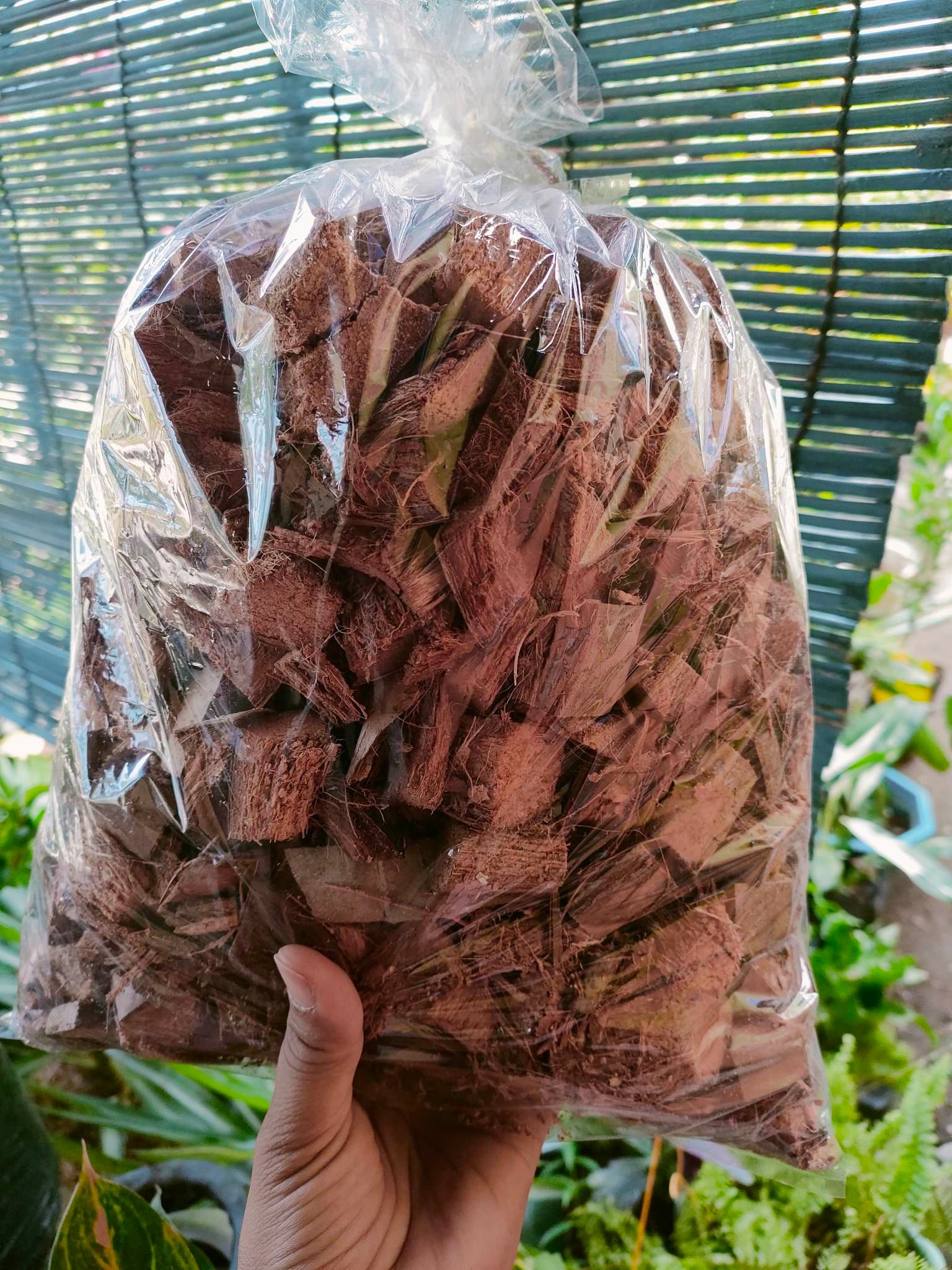 COCO CUBES (500 grams) Use for Orchids and any Plants Lazada PH