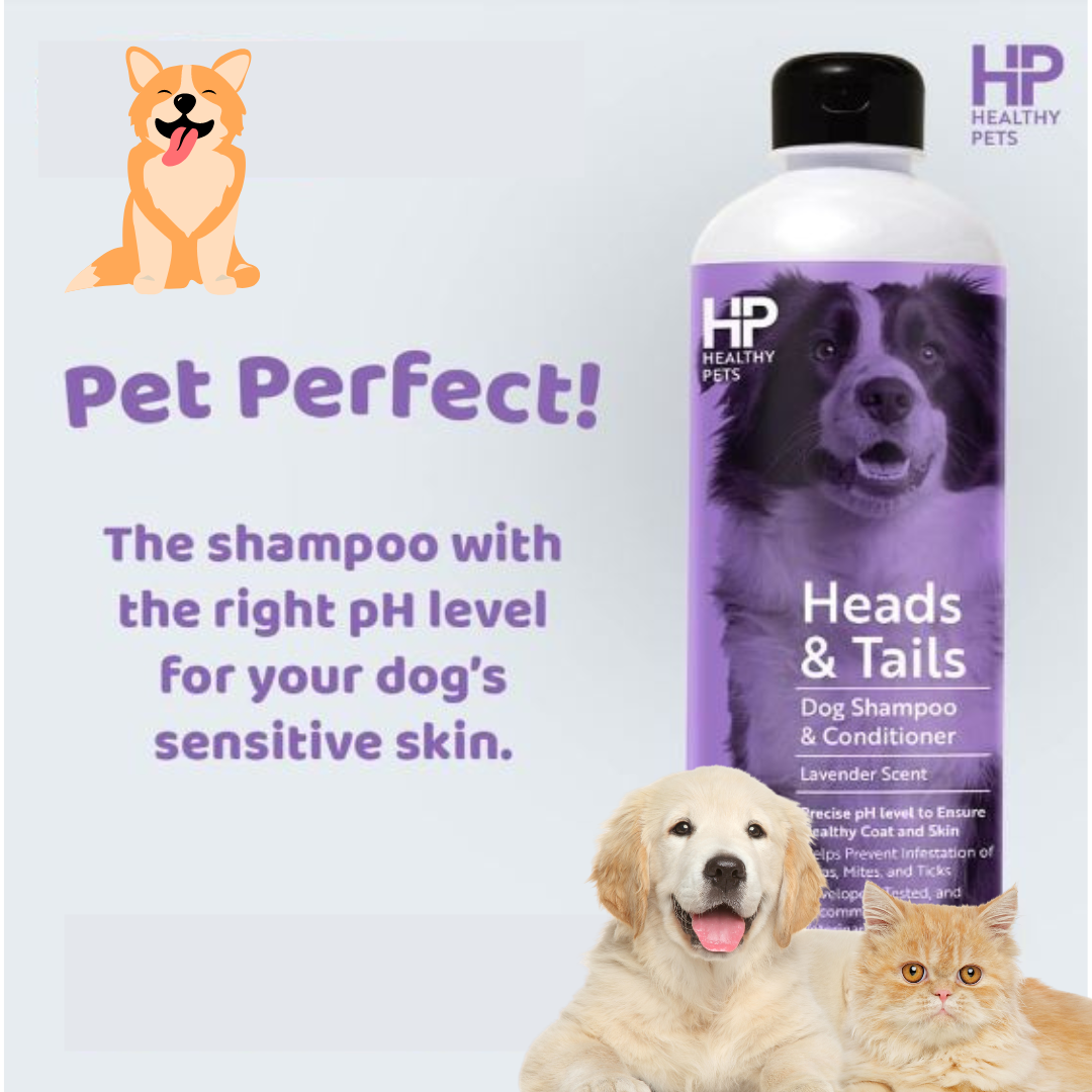 250 ml HEADS AND TAILS dog shampoo and conditioner lavender scent 5 in