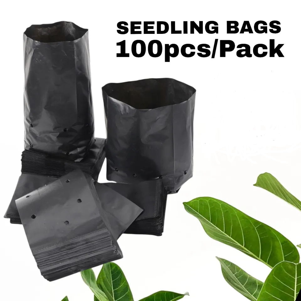 100pcs Plastic Seedling bag /plants Grow Bag / Planters bag for plants |  Lazada PH