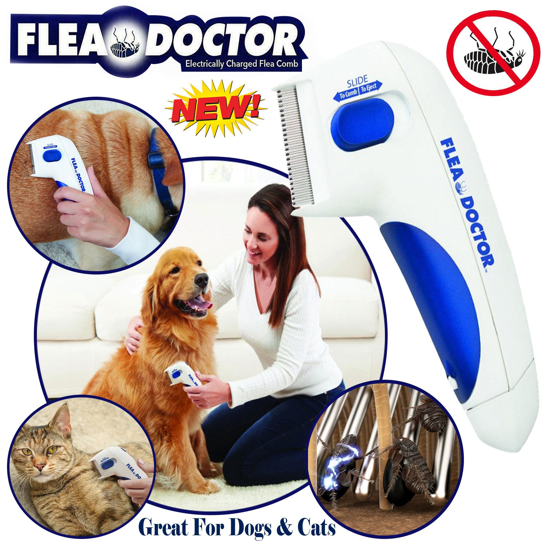 JEYZI New! Hair Electric - Flea Doctor Comb for Dogs & Cats – Electric Flea  and Tick Comb Gently Remove Tool | Cats Remover Doctor Non-Toxic Hair  Electric Flea Comb | Flea