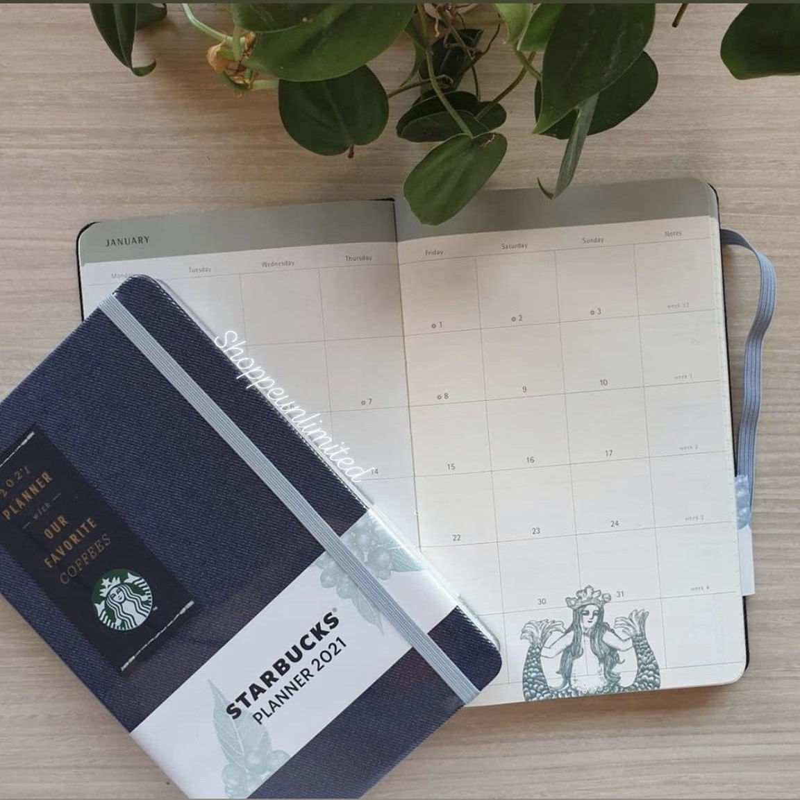 ORIGINAL STARBUCKS PLANNER 2021 SG EDITION Lazada PH
