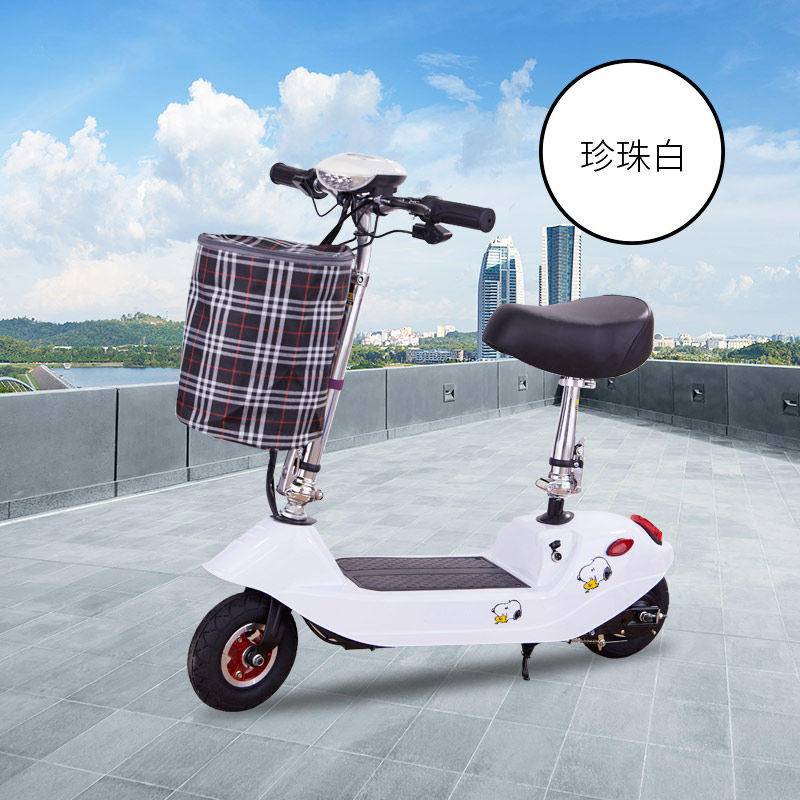 Dolphin Outdoor Electric Scooters for Adults CollapsibleThe Mini