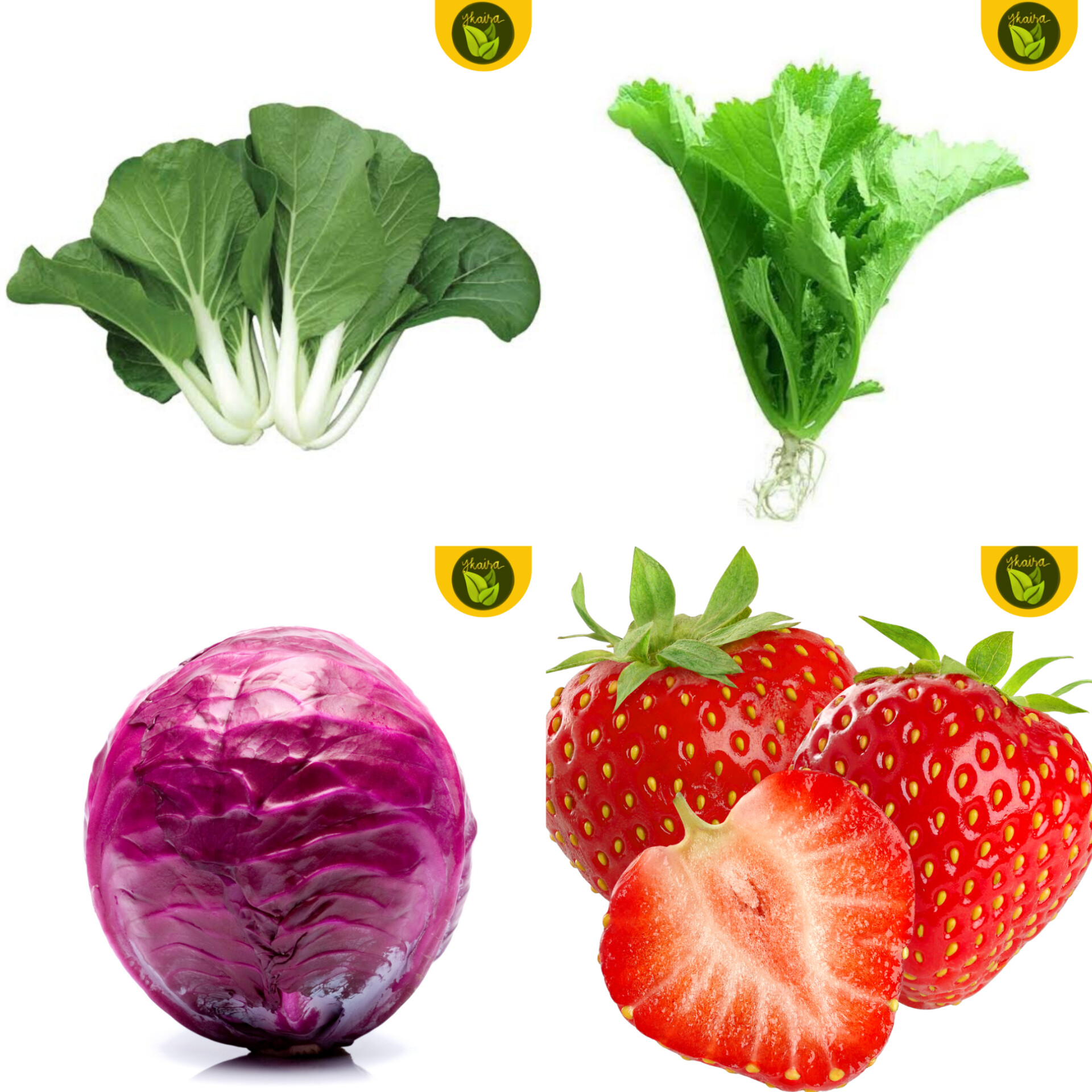 all in! 4 in 1 pack seeds binhi pantanim 100 pechay 100 mustasa 10 red ...