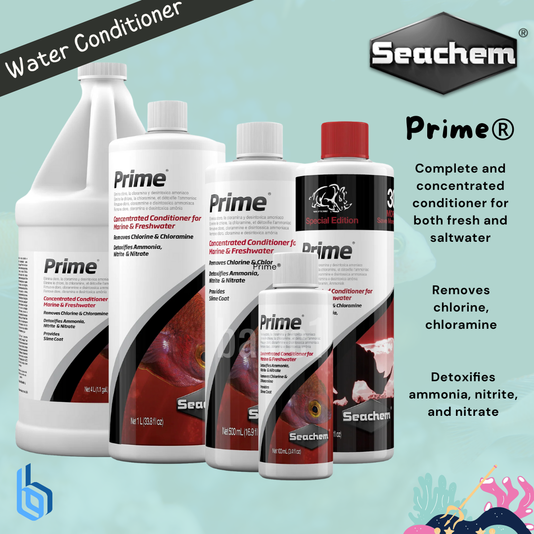 Seachem Laboratories Inc Seachem conditioner prime 325 ml bonus