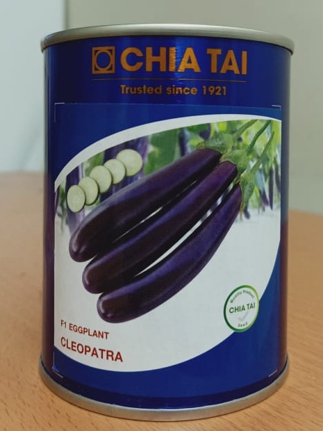 Eggplant Long Green Chia Tai Melanzana Lunga Thailand