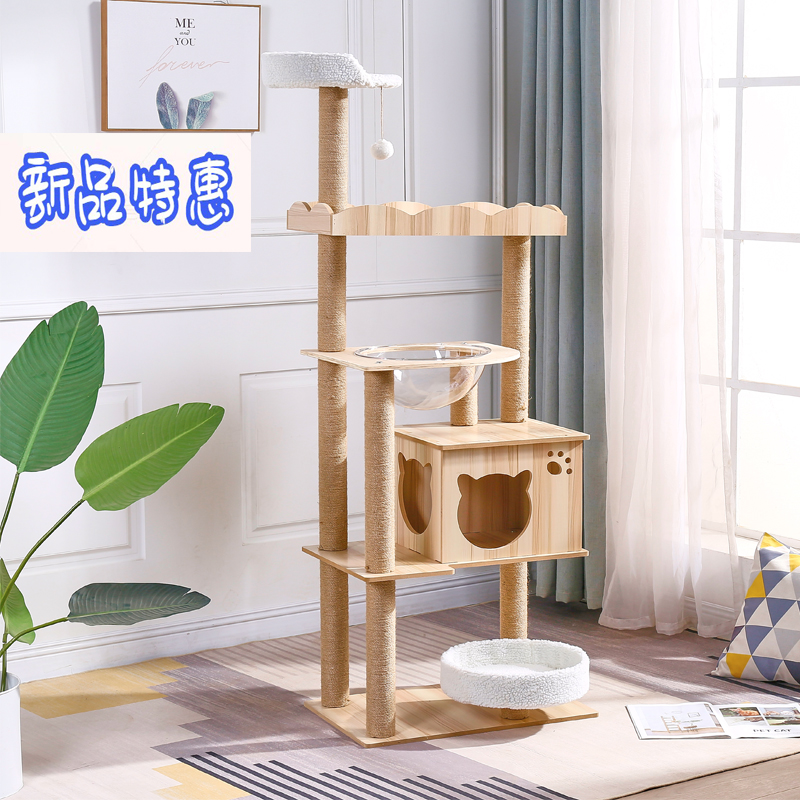 cat condo lazada