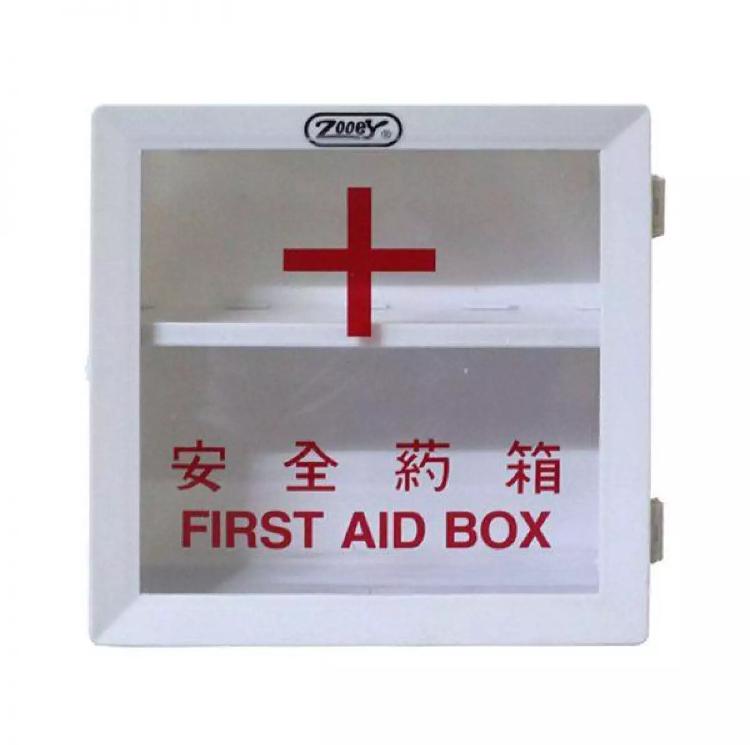 Zooey First Aid Box Medicine Lazada PH