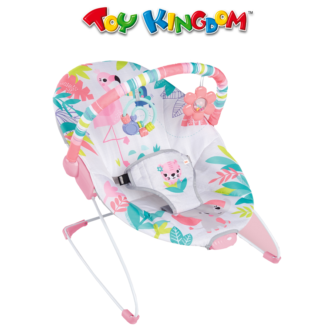baby bouncer online